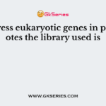 To express eukaryotic genes in prokaryotes the library used is