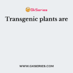 Transgenic plants are