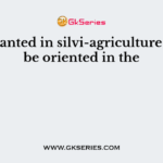 Tree planted in silvi-agriculture should be oriented in the