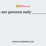 Tylose are present only __________