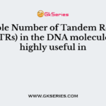 Variable Number of Tandem Repeats (VNTRs) in the DNA molecule are highly useful in