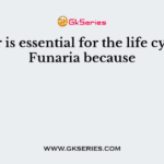 Water is essential for the life cycle of Funaria because
