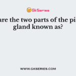 What are the two parts of the pituitary gland known as?