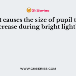 What causes the size of pupil to decrease during bright light?
