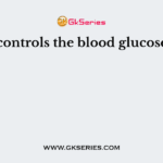What controls the blood glucose level?
