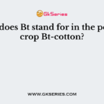 What does Bt stand for in the popular crop Bt-cotton?