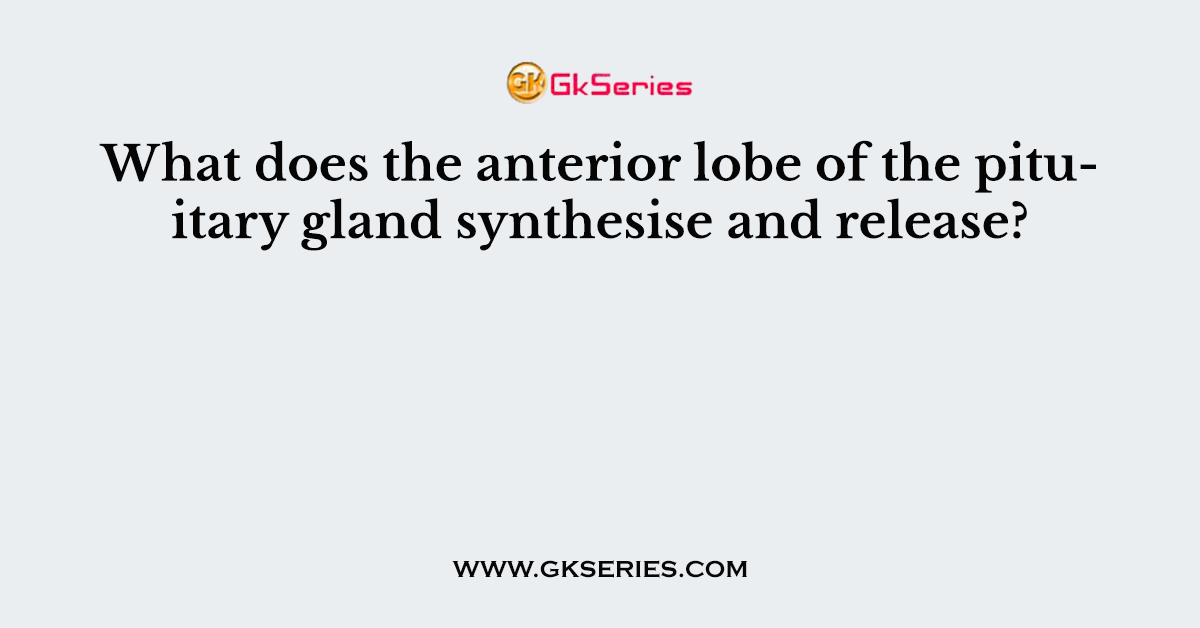 What does the anterior lobe of the pituitary gland synthesise and release?