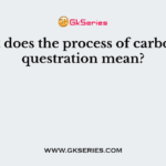 What does the process of carbon sequestration mean?