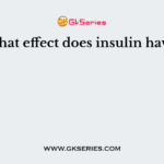 What effect does insulin have?