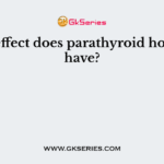 What effect does parathyroid hormone have?