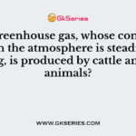 What greenhouse gas, whose concentration in the atmosphere is steadily increasing, is produced by cattle and other animals?