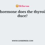What hormone does the thyroid produce?