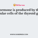What hormone is produced by the parafollicular cells of the thyroid gland?