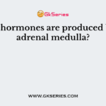 What hormones are produced by the adrenal medulla?