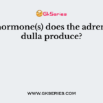 What hormone(s) does the adrenal medulla produce?
