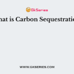 What is Carbon Sequestration?