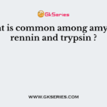 What is common among amylase, rennin and trypsin ?