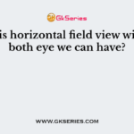 What is horizontal field view with our both eye we can have?