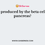 What is produced by the beta cells of the pancreas?