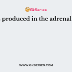 What is produced in the adrenal cortex?