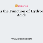 What is the Function of Hydrochloric Acid?