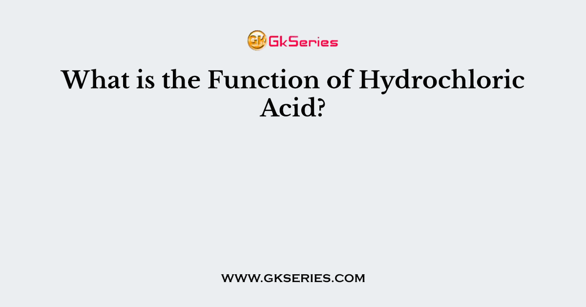 What is the Function of Hydrochloric Acid?