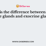 What is the difference between endocrine glands and exocrine glands?