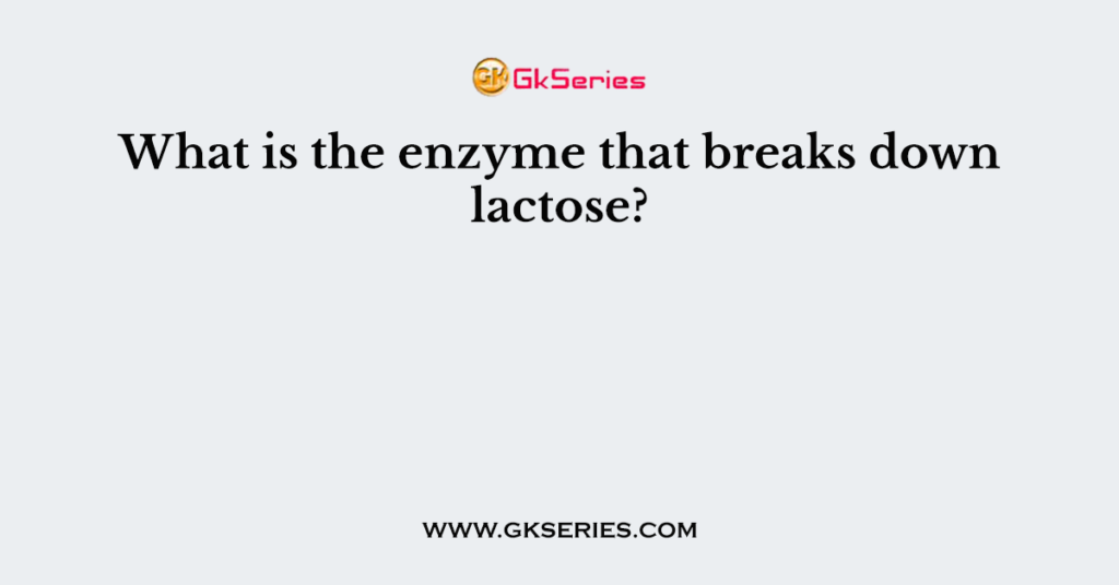 What is the enzyme that breaks down lactose?