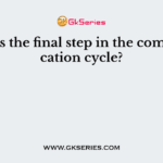 What is the final step in the communication cycle?