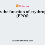 What is the function of erythropoietin (EPO)?