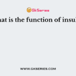 What is the function of insulin?