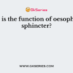 What is the function of oesophageal sphincter?