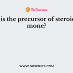 What is the precursor of steroid hormone?