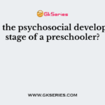 What is the psychosocial developmental stage of a preschooler?