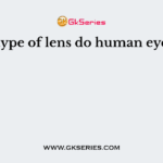 What type of lens do human eye have?