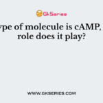 What type of molecule is cAMP, or what role does it play?