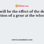 What will be the effect of the deletion mutation of a gene at the telomere?