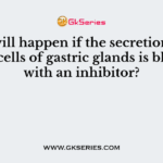 What will happen if the secretion of parietal cells of gastric glands is blocked with an inhibitor?