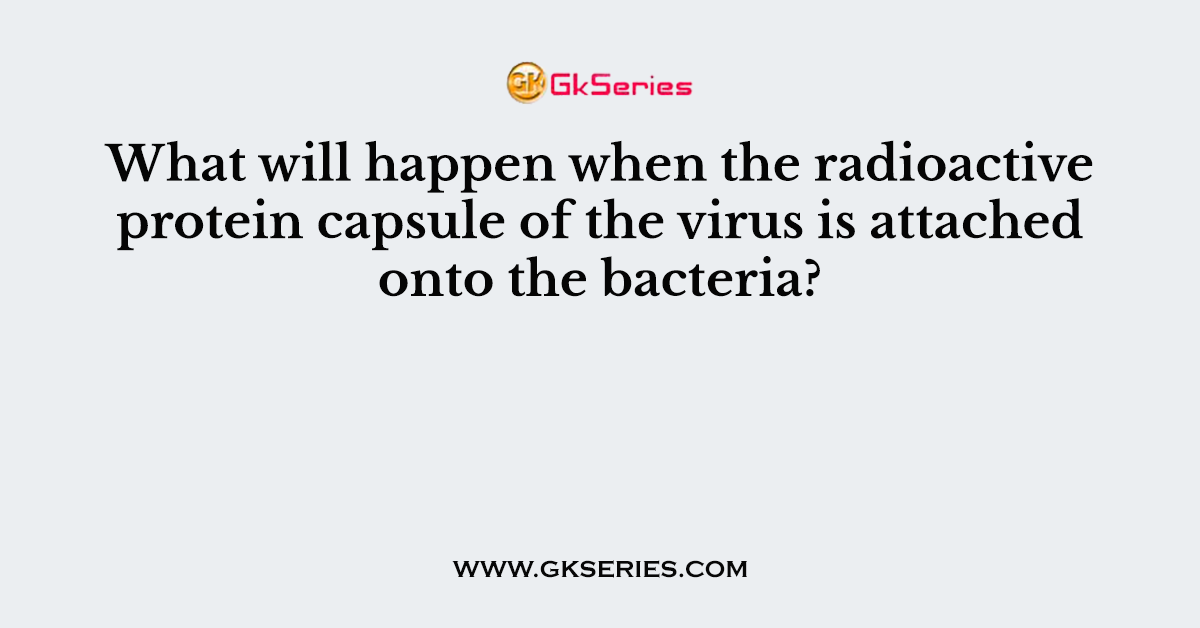 What will happen when the radioactive protein capsule of the virus is attached onto the bacteria?