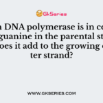 When DNA polymerase is in contact with guanine in the parental strand, what does it add to the growing daughter strand?