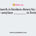When starch is broken down by pancreatic amylase ______ is formed
