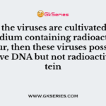 When the viruses are cultivated in the medium containing radioactive Sulphur, then these viruses possess radioactive DNA but not radioactive protein