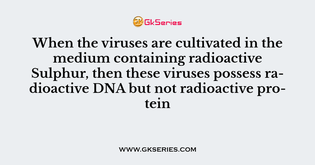 When the viruses are cultivated in the medium containing radioactive Sulphur, then these viruses possess radioactive DNA but not radioactive protein