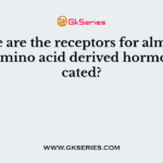 Where are the receptors for almost all of the amino acid derived hormones located?