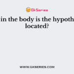 Where in the body is the hypothalamus located?