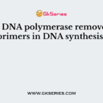 Which DNA polymerase removes RNA primers in DNA synthesis?
