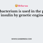 Which bacterium is used in the production of insulin by genetic engineering?