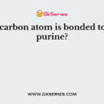 Which carbon atom is bonded to N-9 of purine?