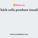 Which cells produce insulin?
