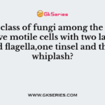 Which class of fungi among the following have motile cells with two laterally inserted flagella,one tinsel and the other whiplash?